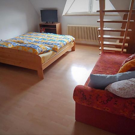 Apartman Adam チェスキー クルムロフ エクステリア 写真